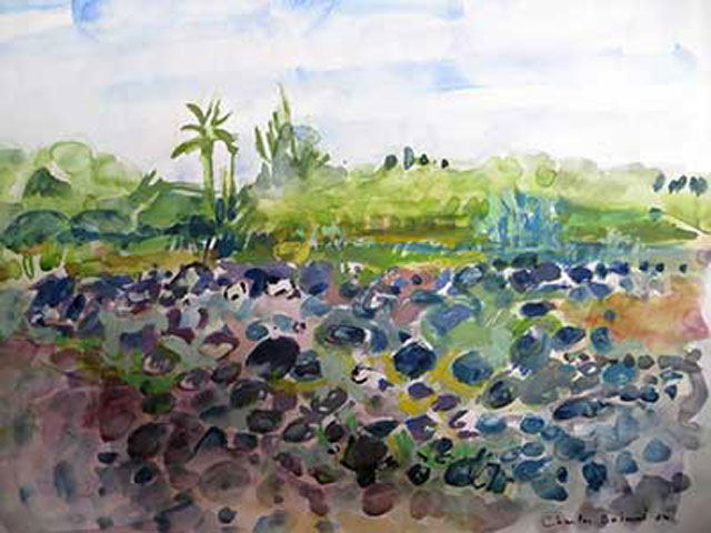 4-N865_La Rivière des PLuies_La Réunion 1984_Aquarelle 55x44